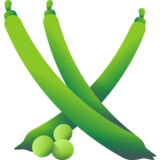 Green Bean / 四季豆