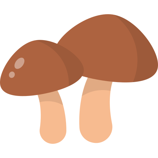 Mushroom / 蘑菇