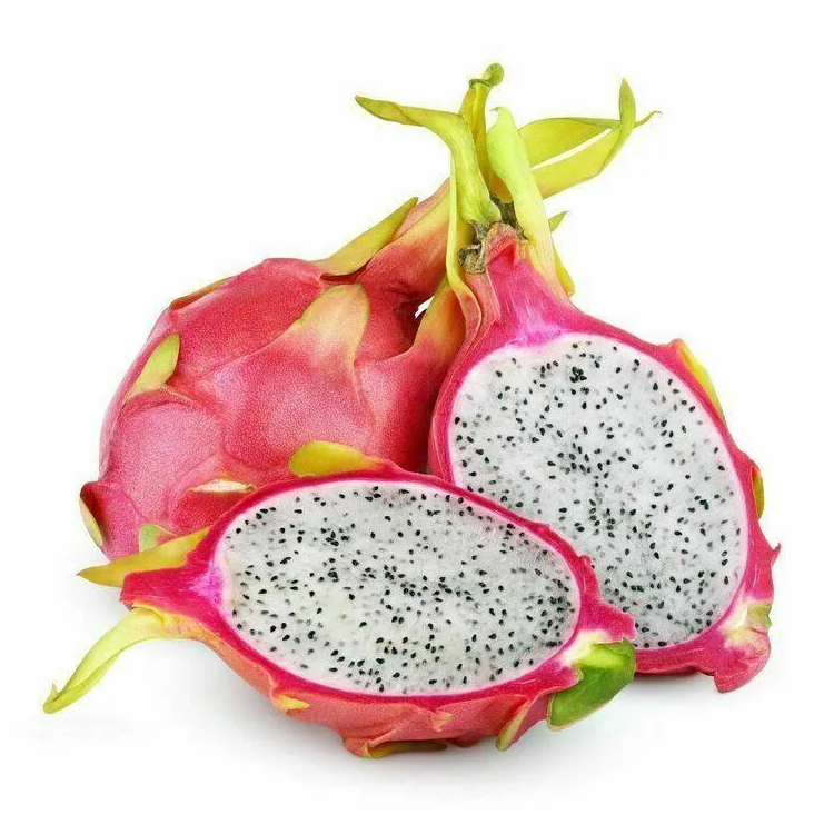 Dragon Fruit / 火龙果