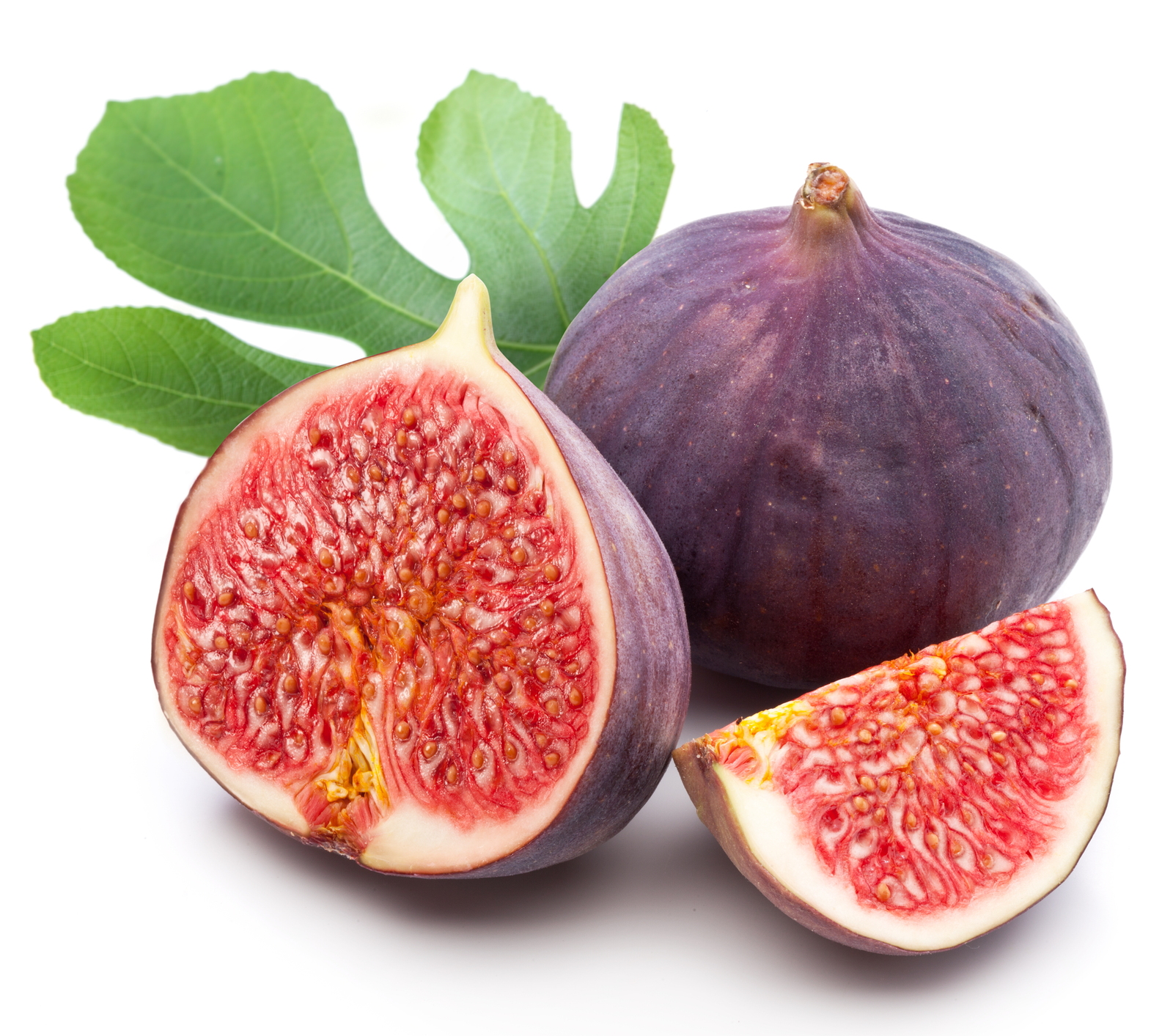 Fig / 无花果