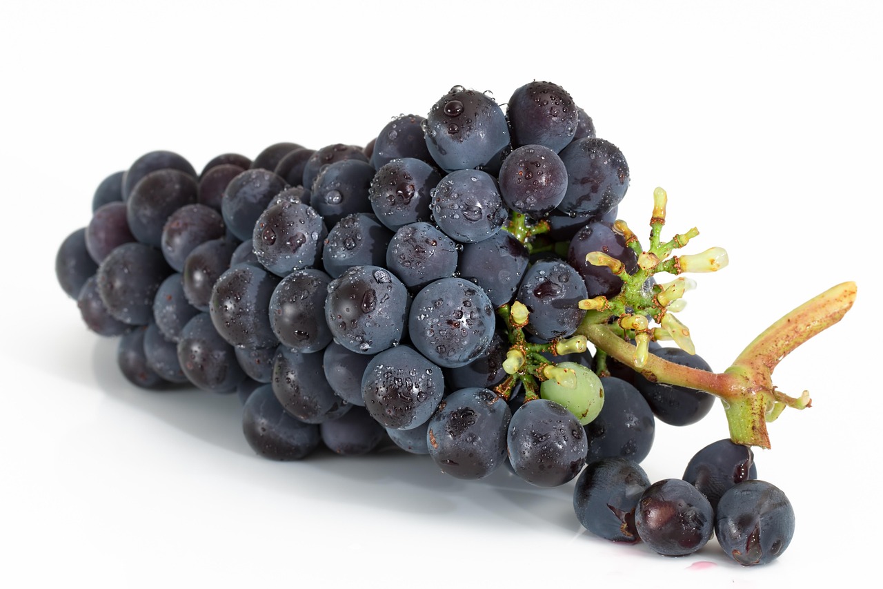 Grape / 葡萄