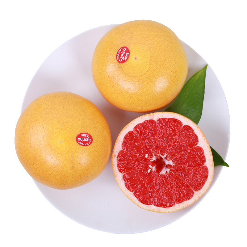 Grapefruit / 西柚